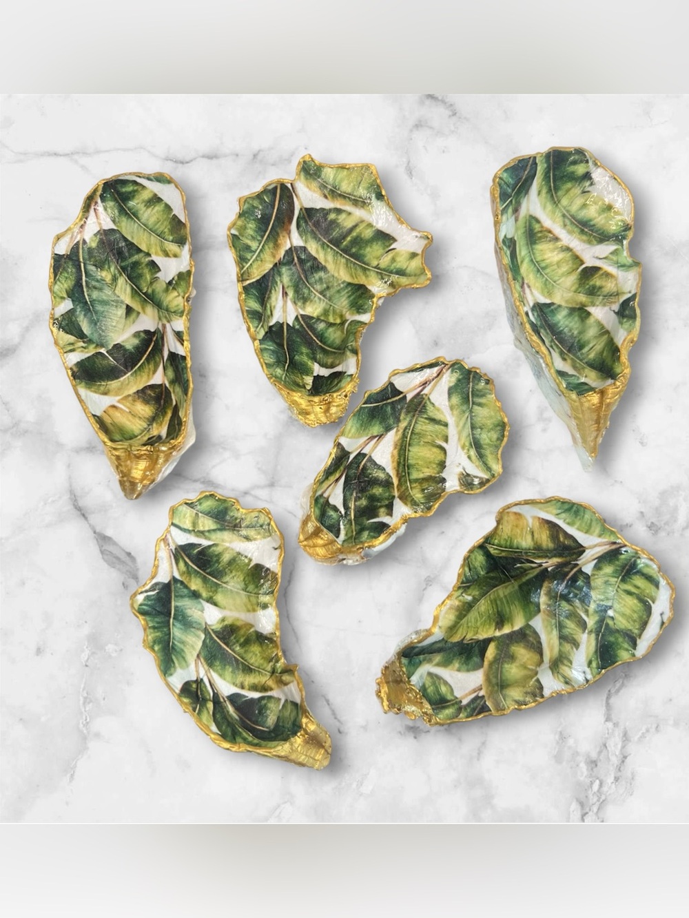 Banana Leaves Oyster Shell Collection